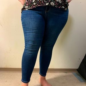 Torrid Jegging Skinny Jean